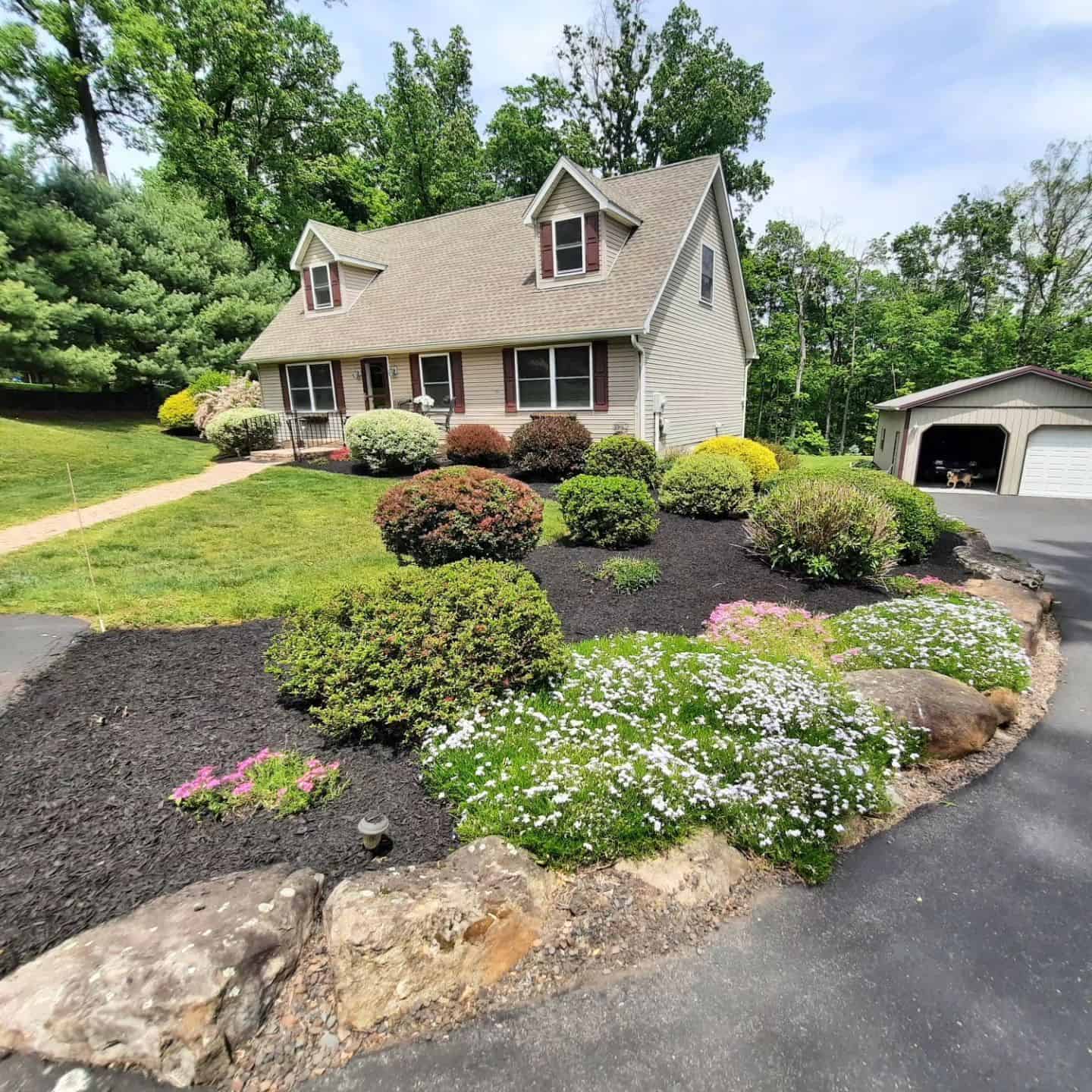 Landscape Restoration image