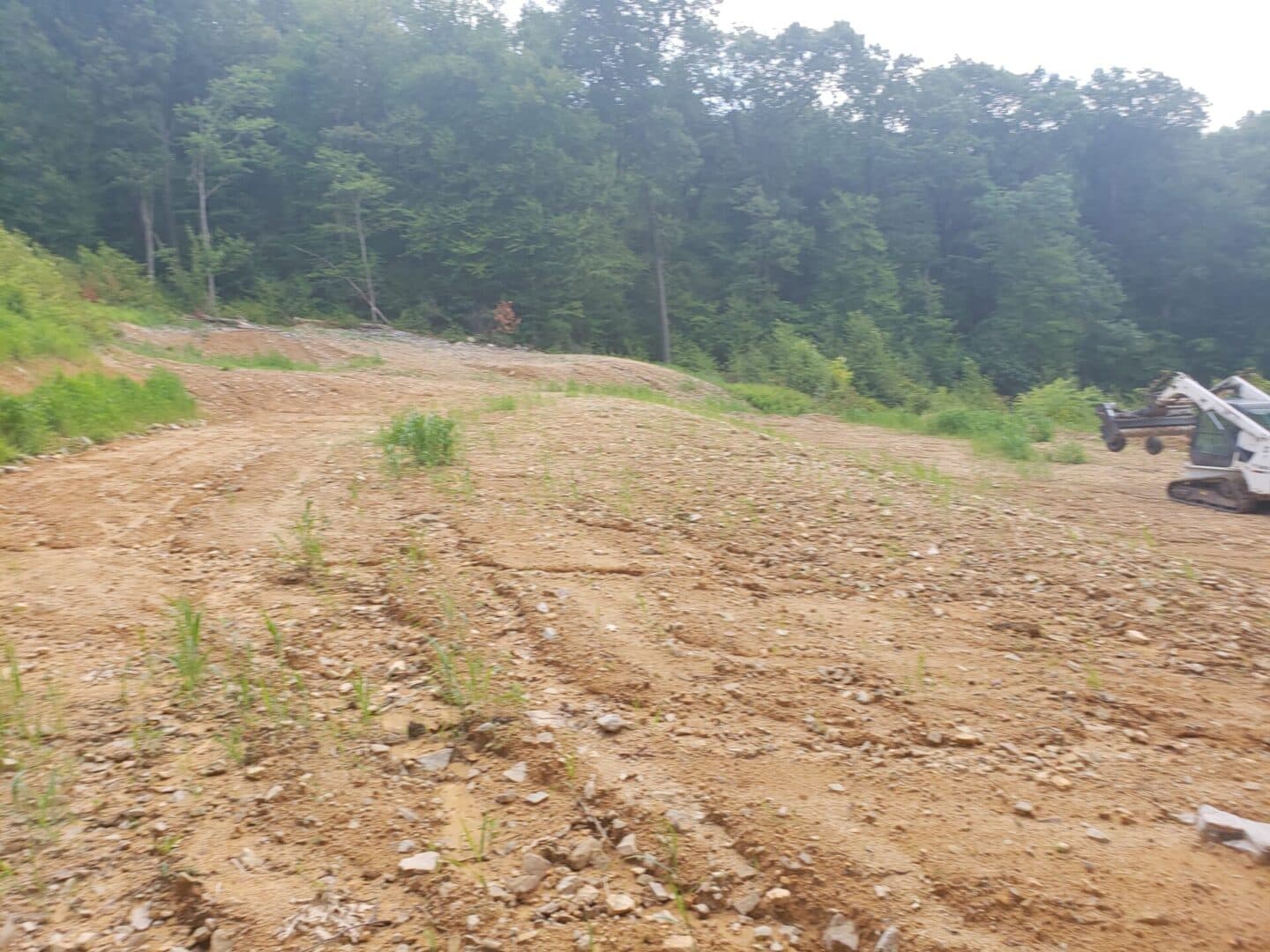 Graded land with sparse vegetation and construction equipment in a wooded area.