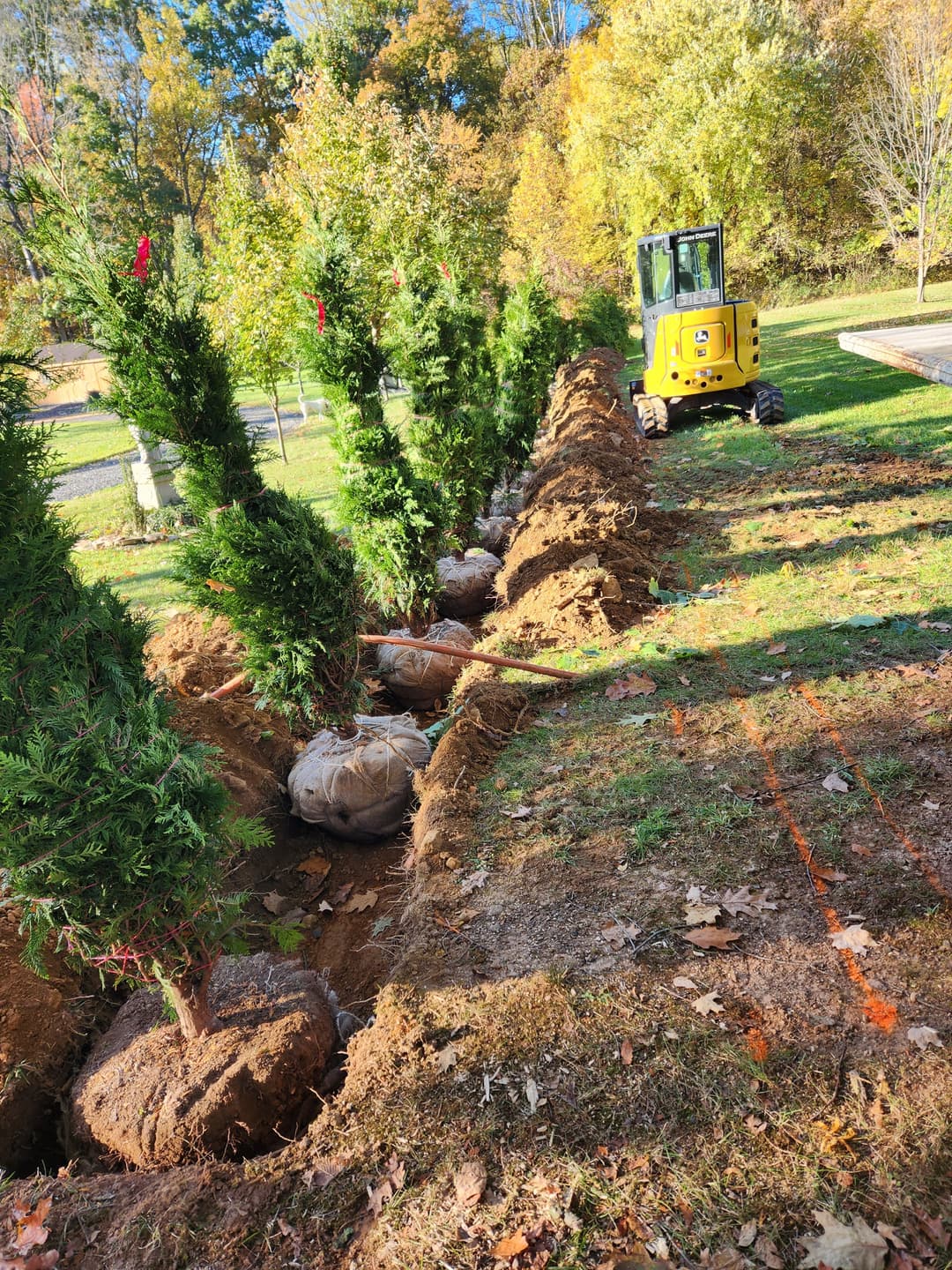Cleared land with dirt area and tree line, showcasing nature and construction preparations.
