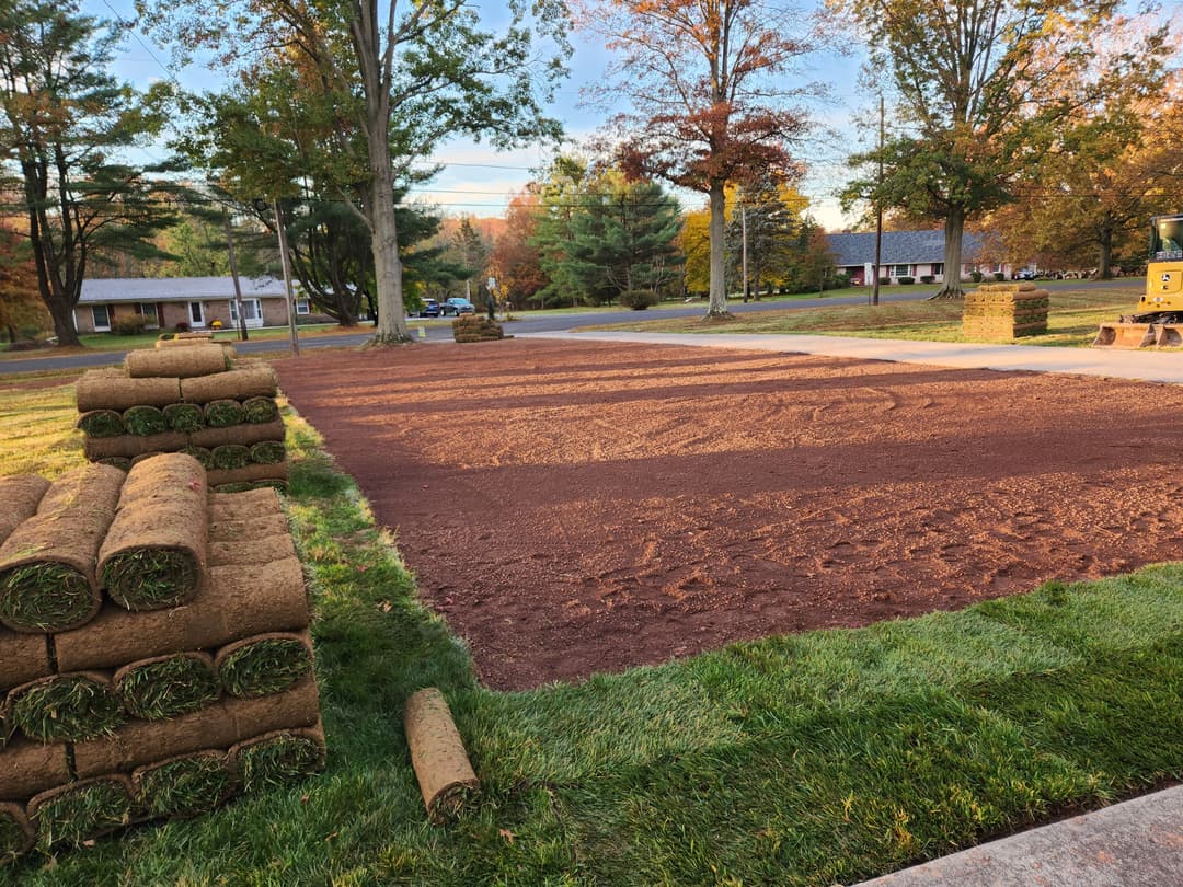 Freshly laid sod on a lawn undergoing landscaping, with stacked rolls visible nearby.