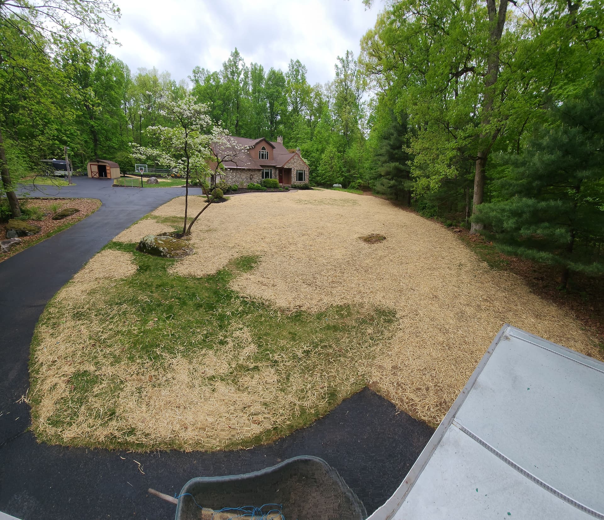 Lawn Grading, Topsoil, and Seeding Done Right image