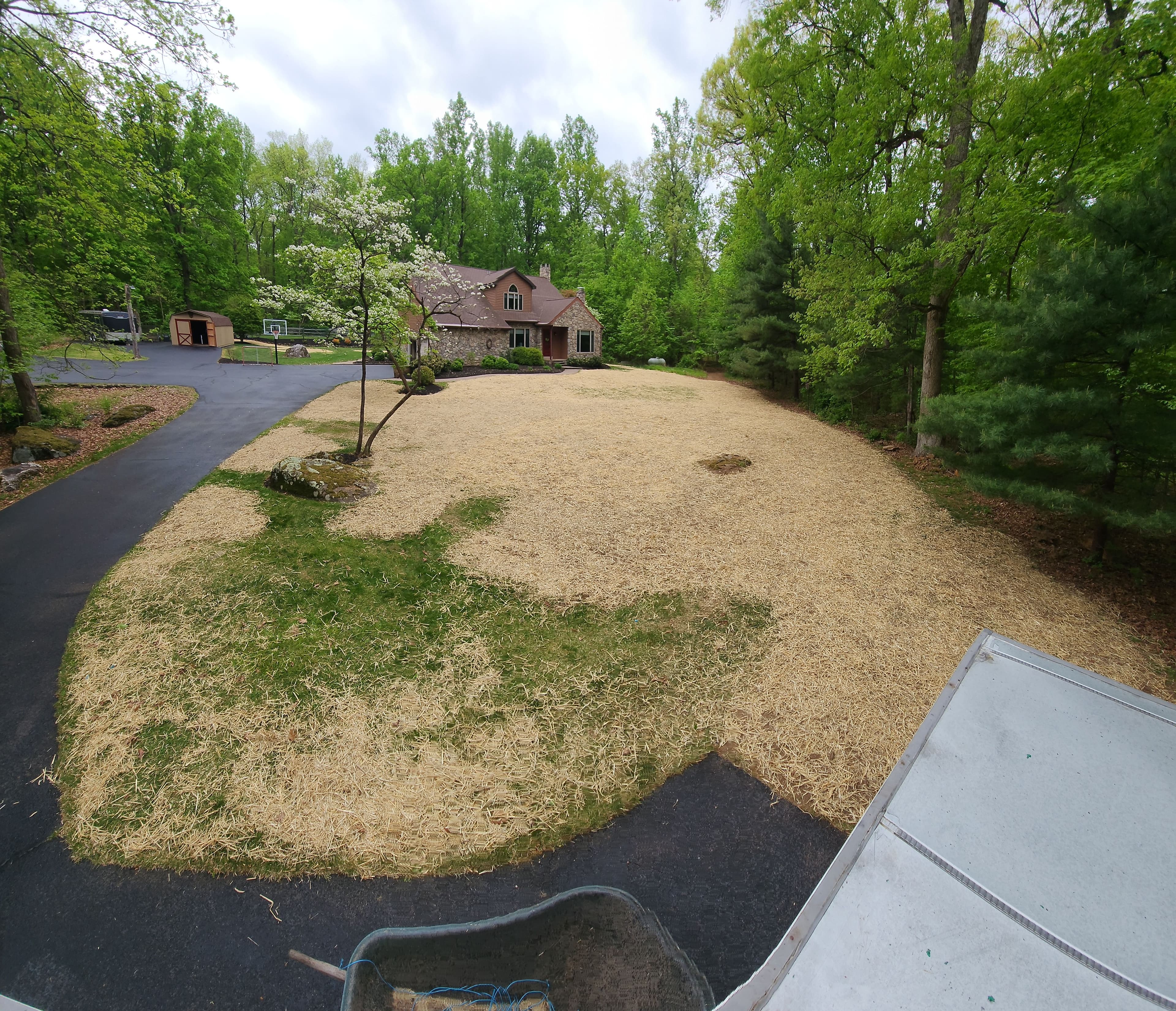 Project Lawn Grading, Topsoil, and Seeding Done Right image