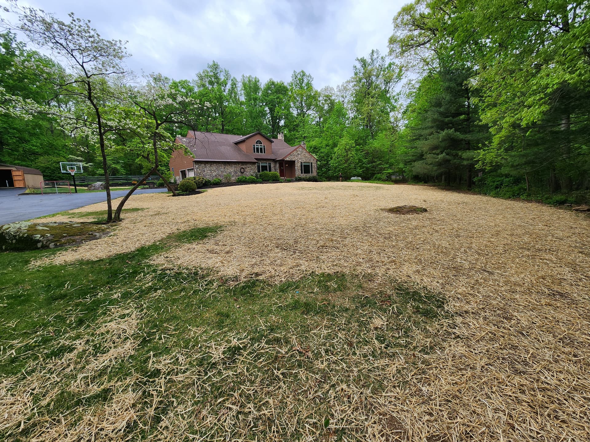Gallery photos for Lawn Grading, Topsoil, and Seeding Done Right: Image #1