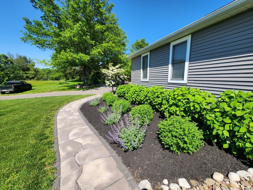 Lush garden with blooming flowers and a stone path beside a gray house on a sunny day.