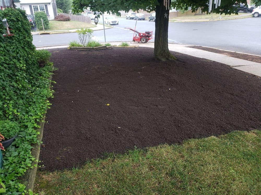 Freshly tilled garden soil under a tree, ready for planting, featuring surrounding greenery.