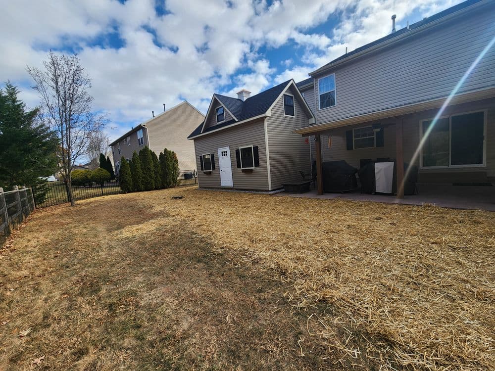 Backyard with freshly laid straw, two houses visible, and a clear sky on a sunny day.