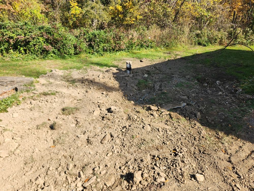 Bare soil area with rocks, surrounded by greenery and trees in a sunny outdoor setting.