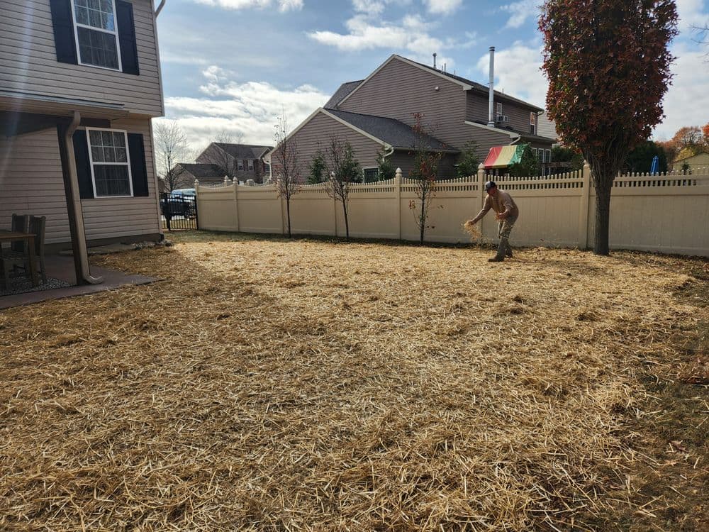 Person spreading straw on a newly landscaped backyard with houses and a fence in the background.
