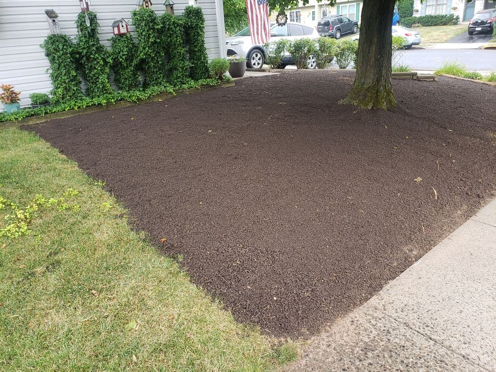 Freshly mulched garden area beside a home with green grass and a large tree.
