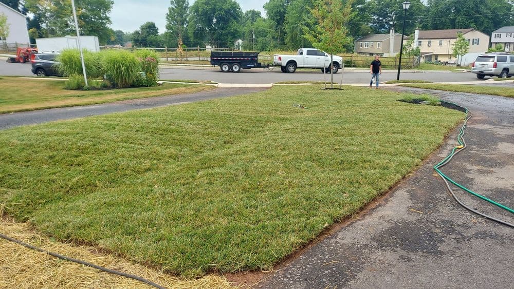 Freshly mowed lawn with neat edges, landscaping tools, and a truck in a suburban setting.