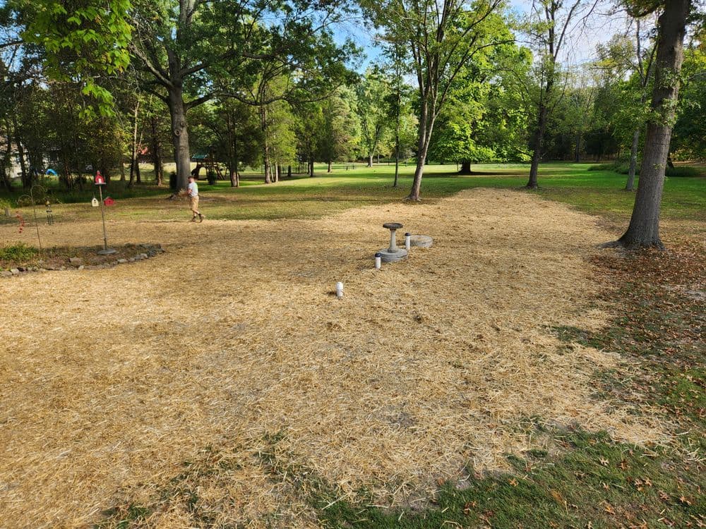 Lawn area with straw covering, surrounded by trees and a person walking in the distance.