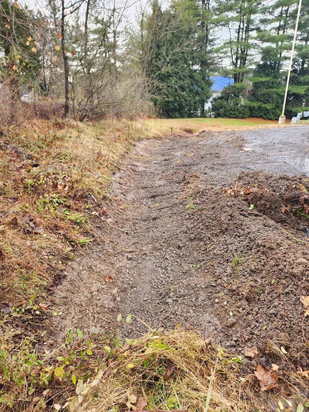 Dirt path in a grassy area with trees, showcasing uneven terrain and vegetation.