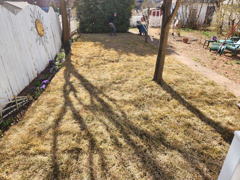 Dry grassy yard with a person gardening in the background and shadows from trees.