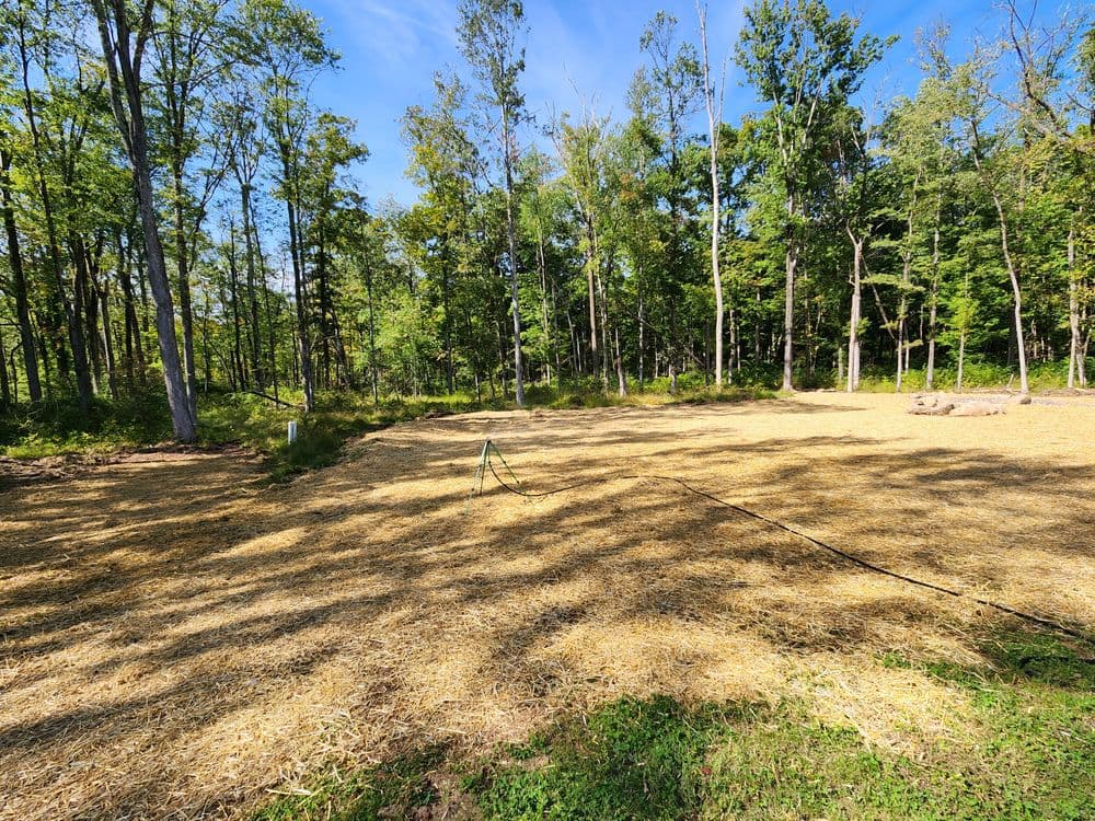 Cleared land in a forested area with straw cover, ready for planting or landscaping.