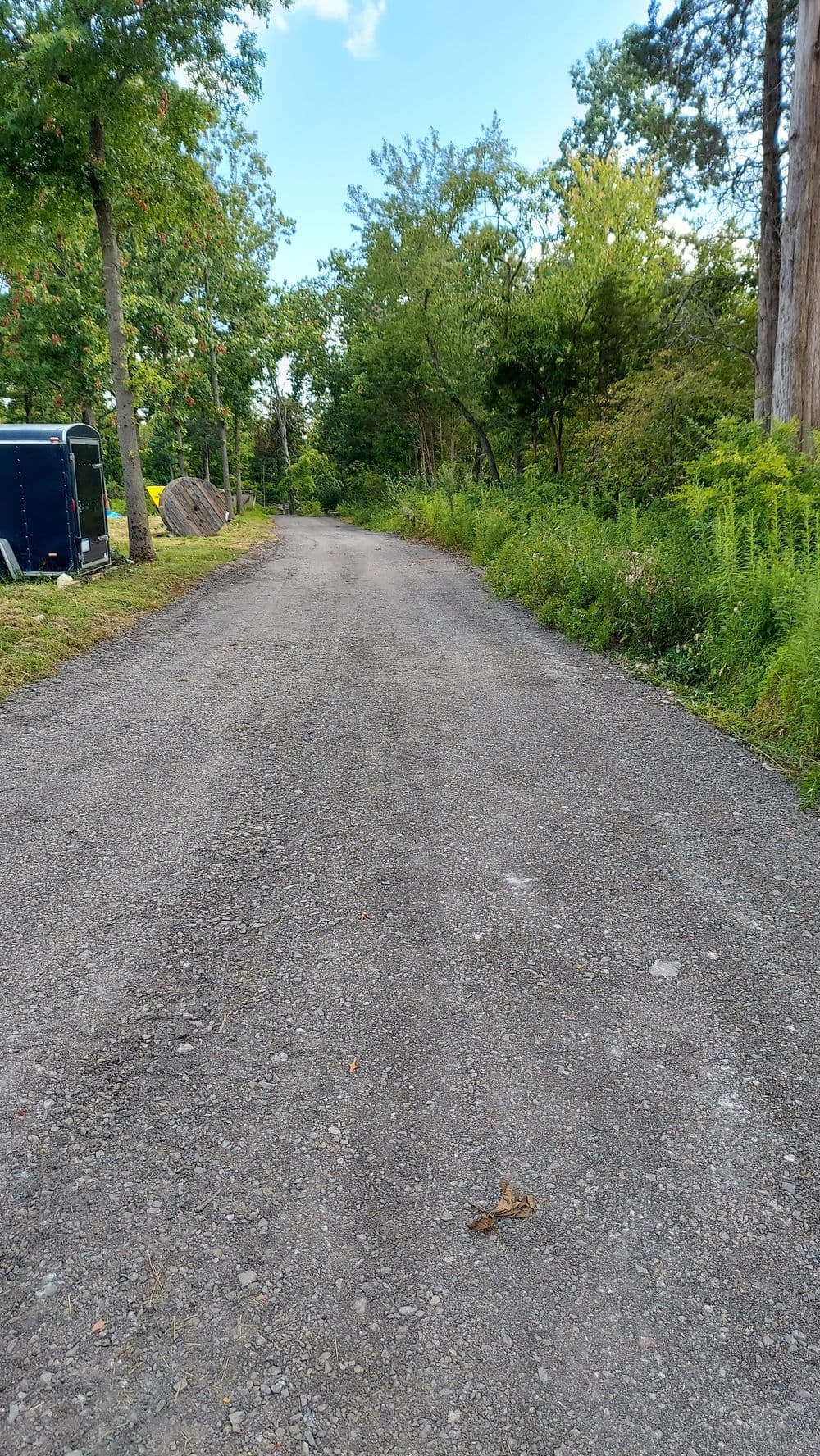 Gravel road surrounded by greenery and trees, leading into a natural landscape.