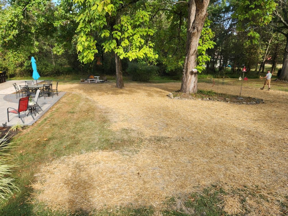 Outdoor backyard space with straw-covered ground, trees, patio furniture, and a relaxing atmosphere.